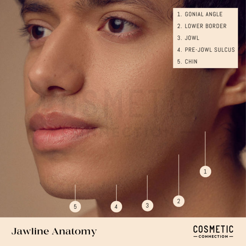 Achieving a Defined Jawline Cosmetic Connection